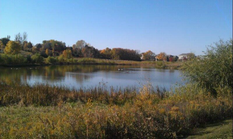 wetland view in the fall