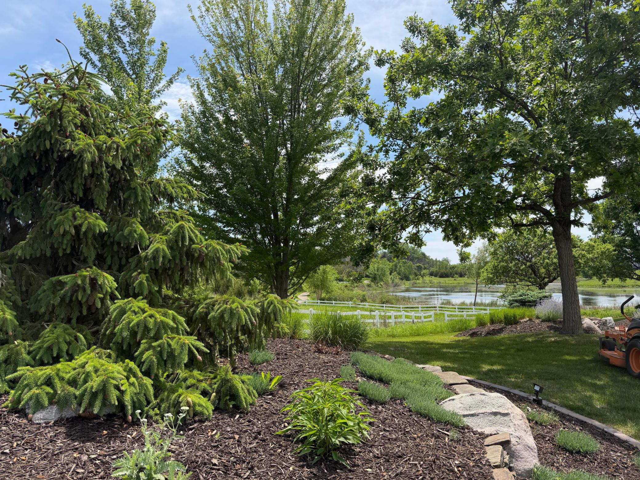 Lots of natural peaceful green space