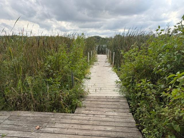 peaceful dock to the lake