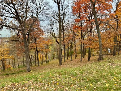 21334 Clay Lane, Erhard, MN 56534