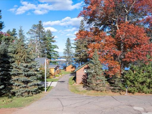 Emily, MN 56447