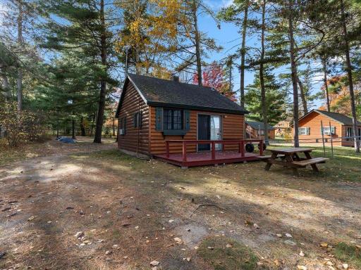 Emily, MN 56447