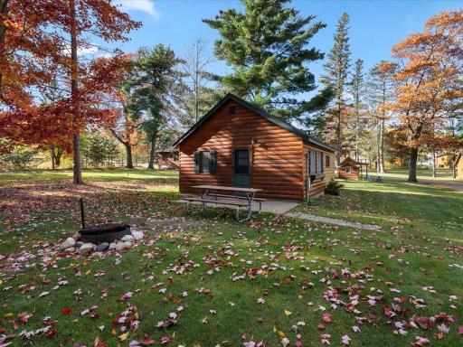 Emily, MN 56447