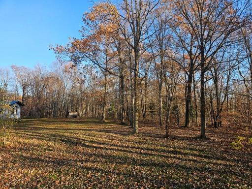 35808 Old Scale Drive, Bagley, MN 56621