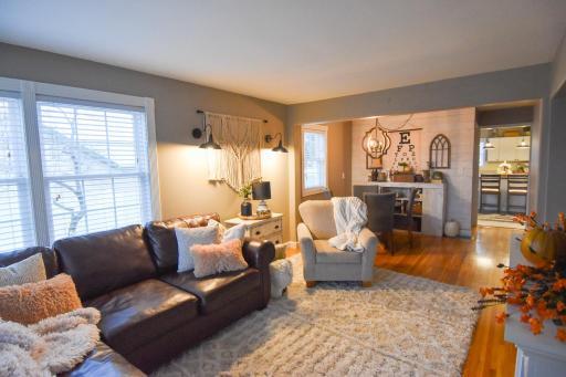 1009 Knight Avenue N, Thief River Falls, MN 56701