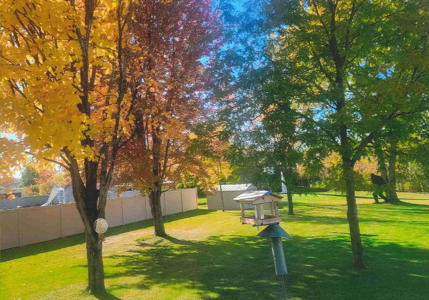 20260212154416250.pdf (5 x 3.5 in) (1).jpg