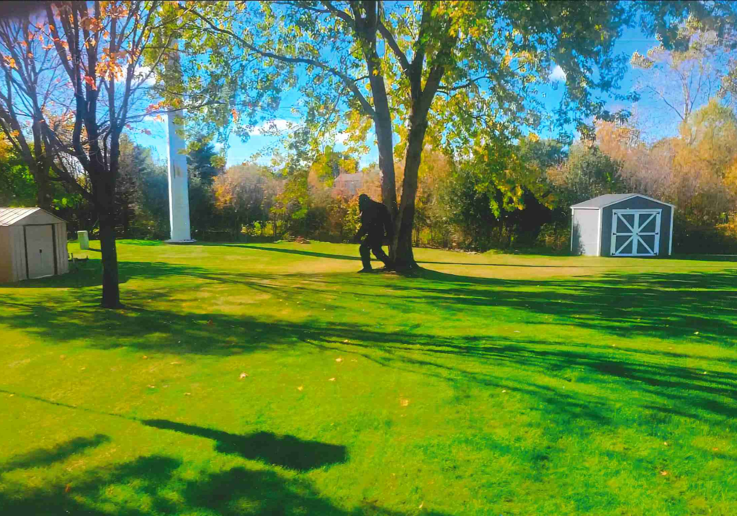 20260212154416250.pdf (5 x 3.5 in).png