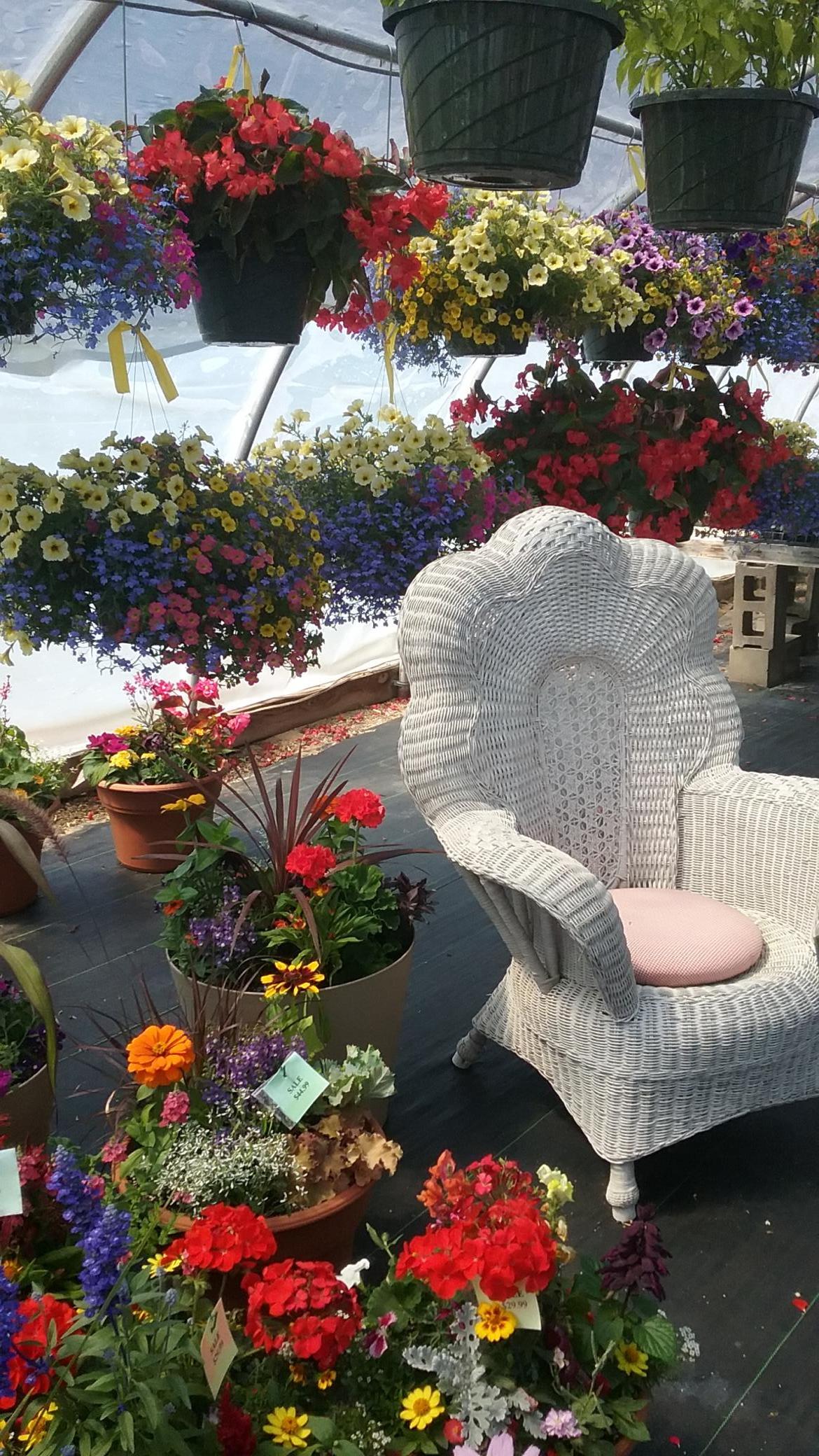 GARDEN CENTER 2.jpg