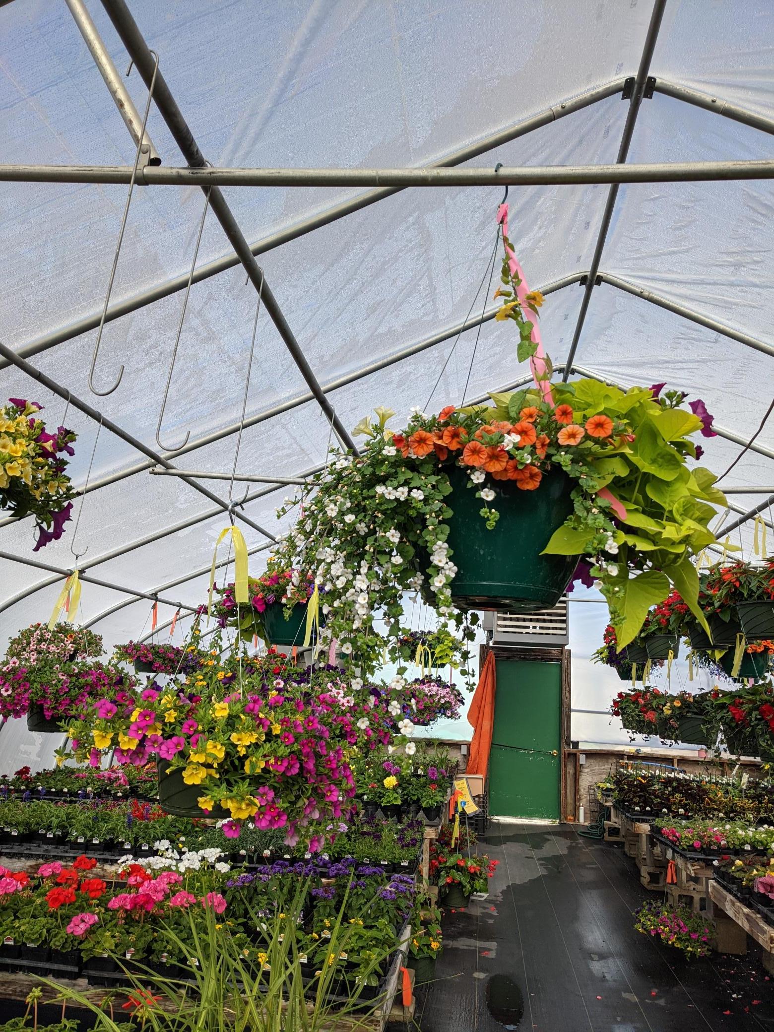 GARDEN CENTER 3.jpg