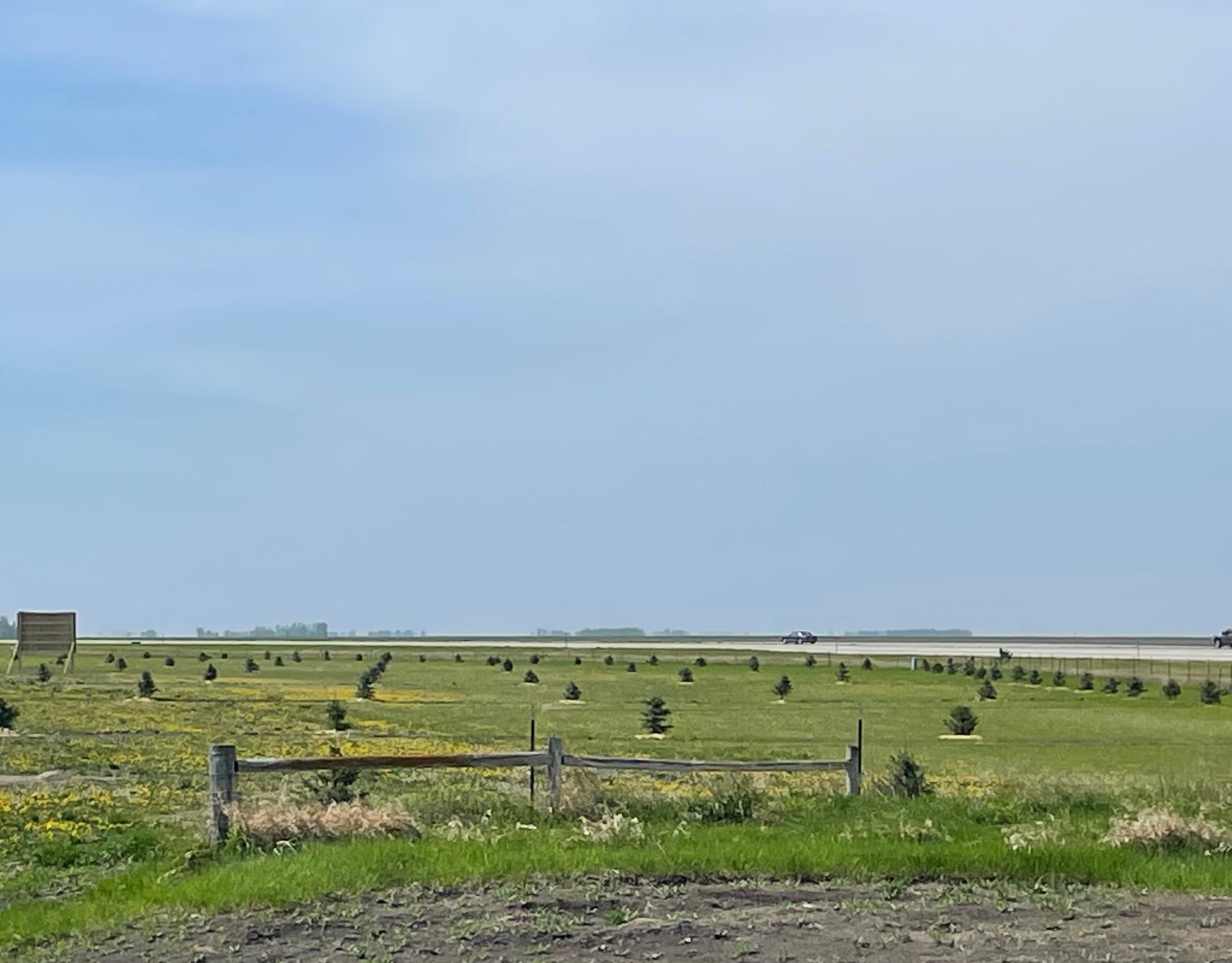 Grandin Lots.jpg