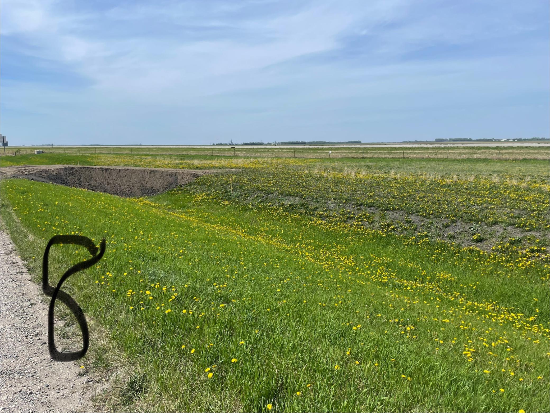 Property photo for Lot 8 County Line Addition, Grandin, ND 58038