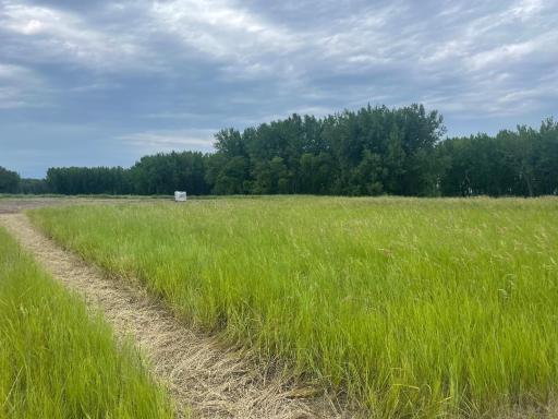 Photo for 10220 State Hwy 9 S, Barnesville, MN 56514 - listing #6810093 10220 State Hwy 9 S, Barnesville, MN 56514