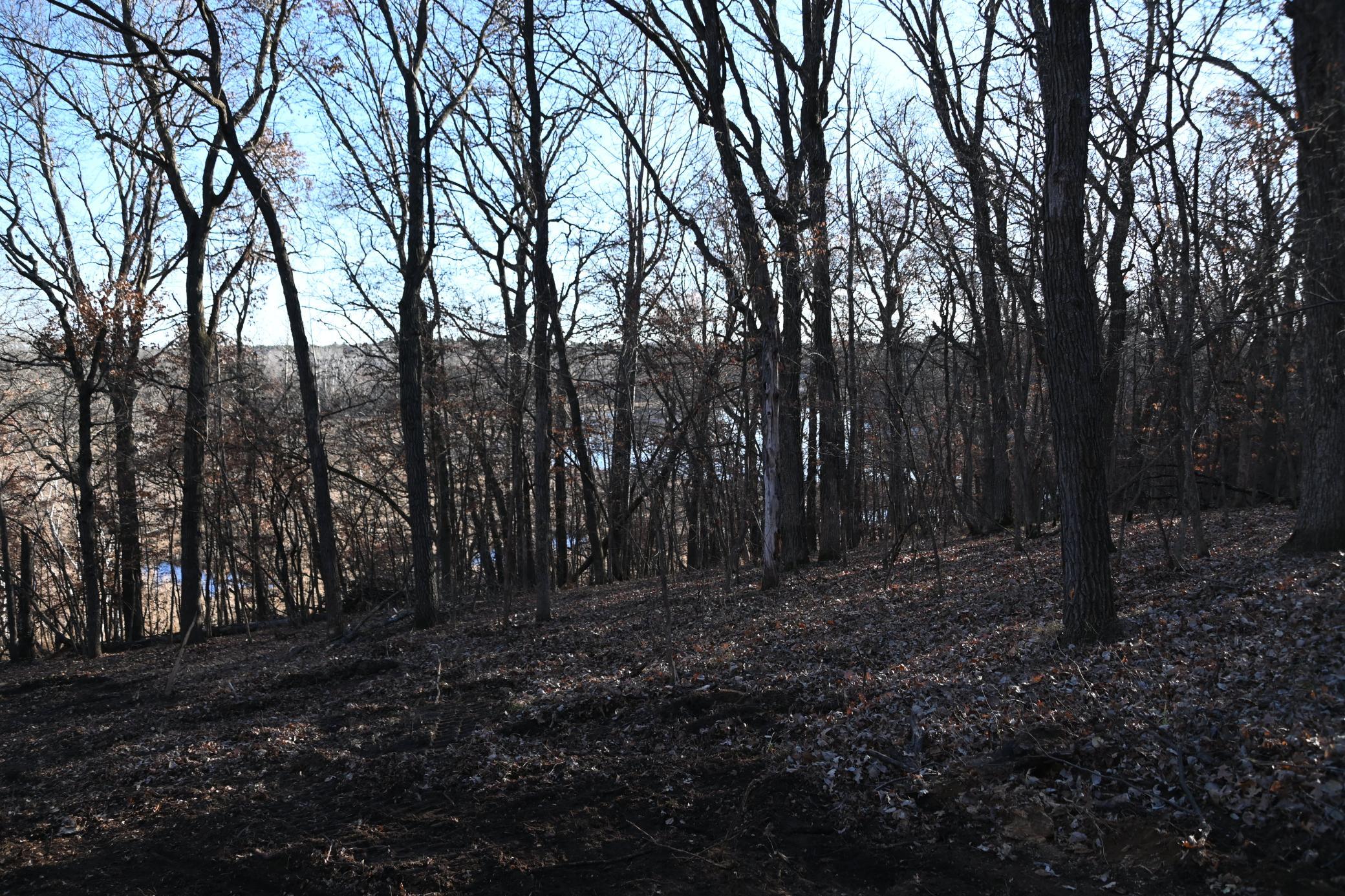 DSC_8898.JPG