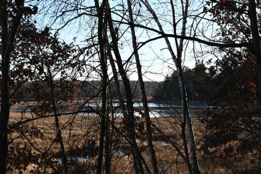 TBD Overland Drive, Browerville, MN 56438