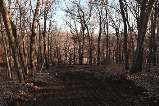 TBD Overland Drive, Browerville, MN 56438