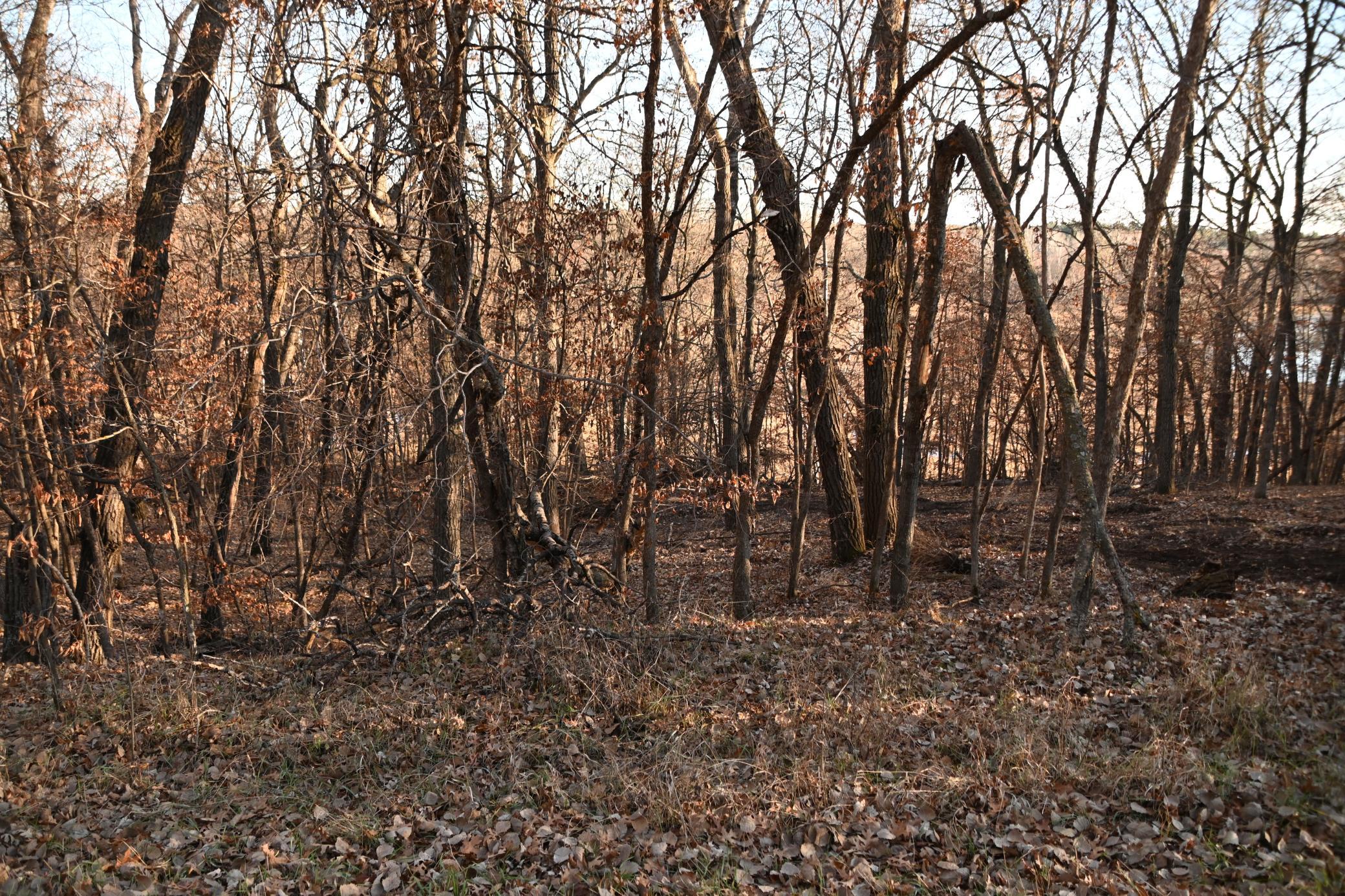 DSC_8942.JPG
