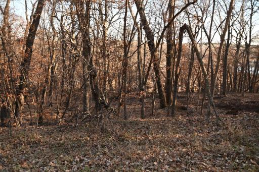 DSC_8942.JPG