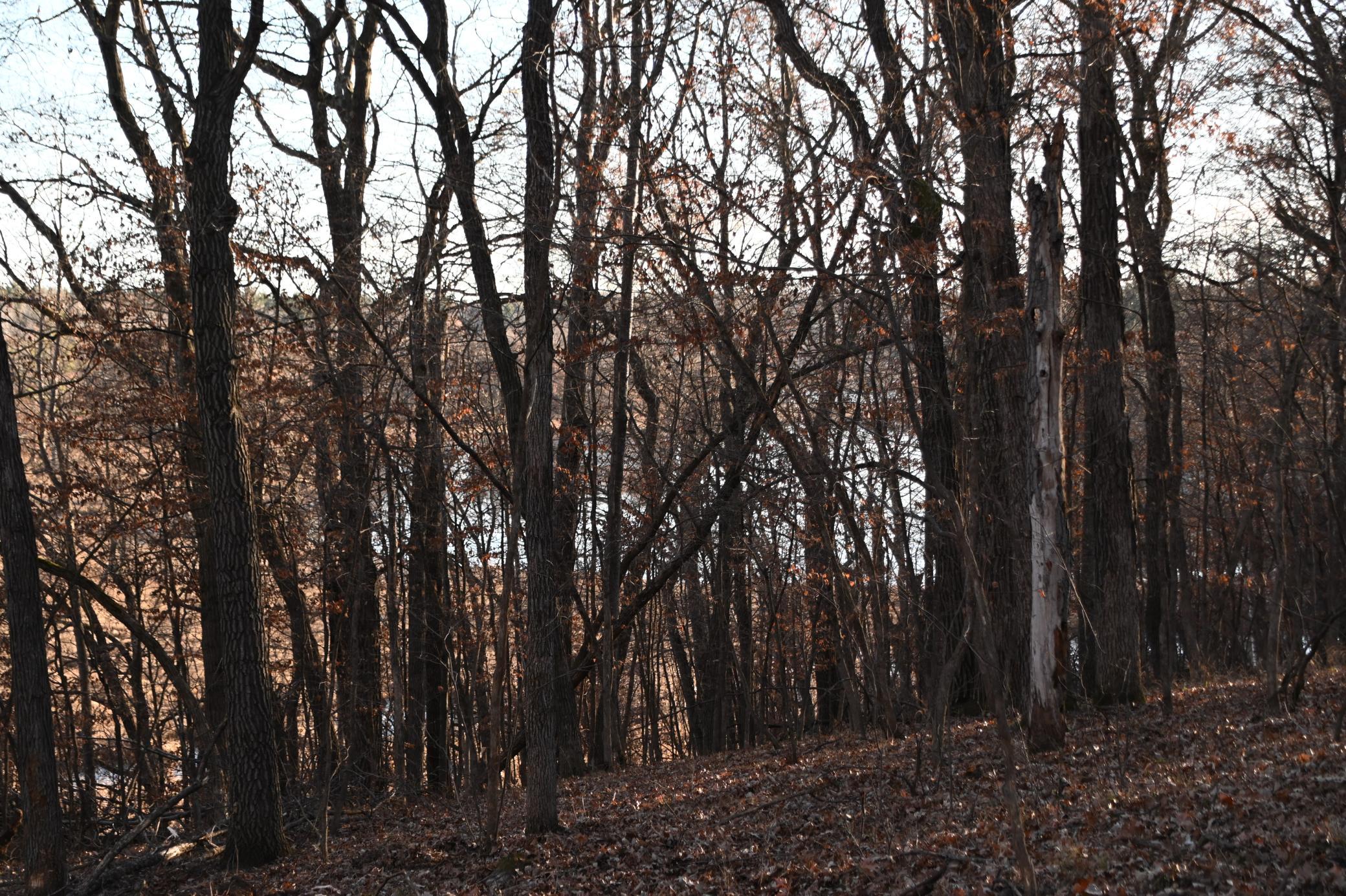 DSC_8952.JPG