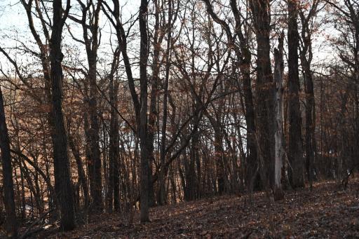 DSC_8952.JPG