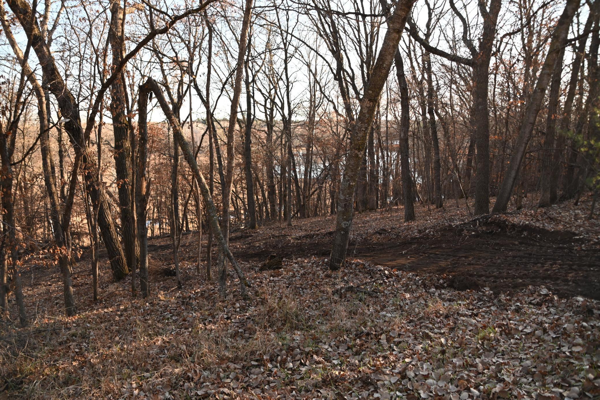DSC_8943.JPG