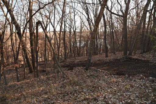 DSC_8943.JPG
