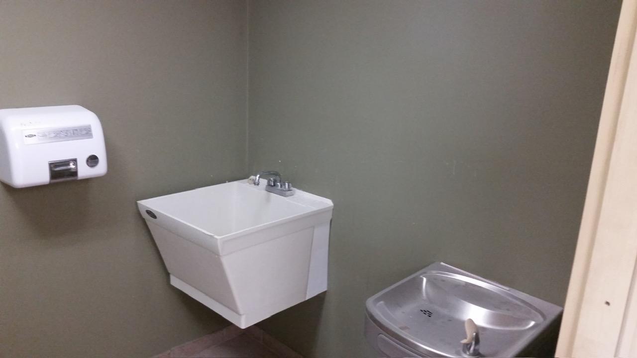 Wash sink & drinking fountain
