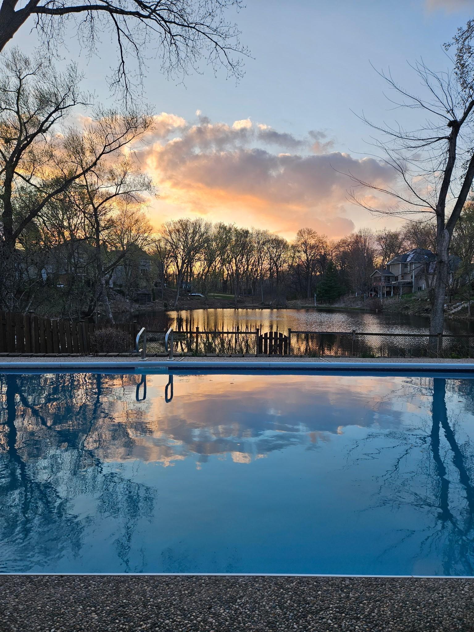 1363 Chatterton - Pool1.jpeg