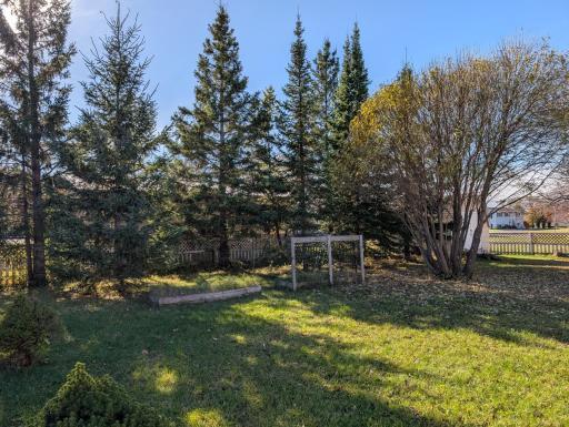 20 - Private Backyard