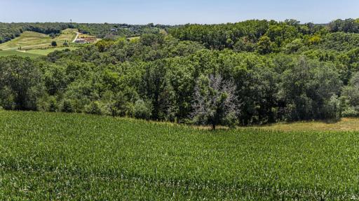 X Country Club Road W, Rochester, MN 55902