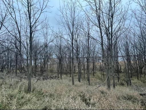 TBD 154 Street NE, Hawick, MN 56273