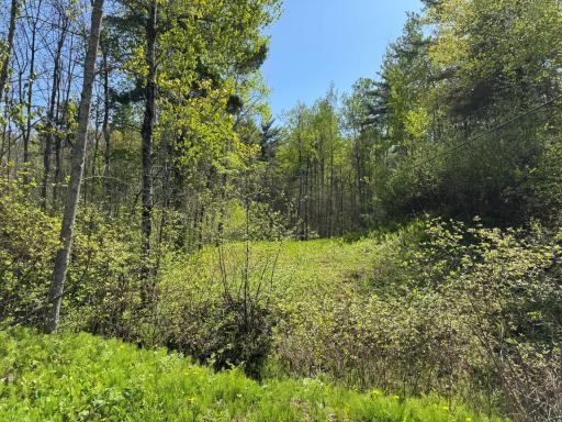 TBD Arbor Street, Duluth, MN 55808