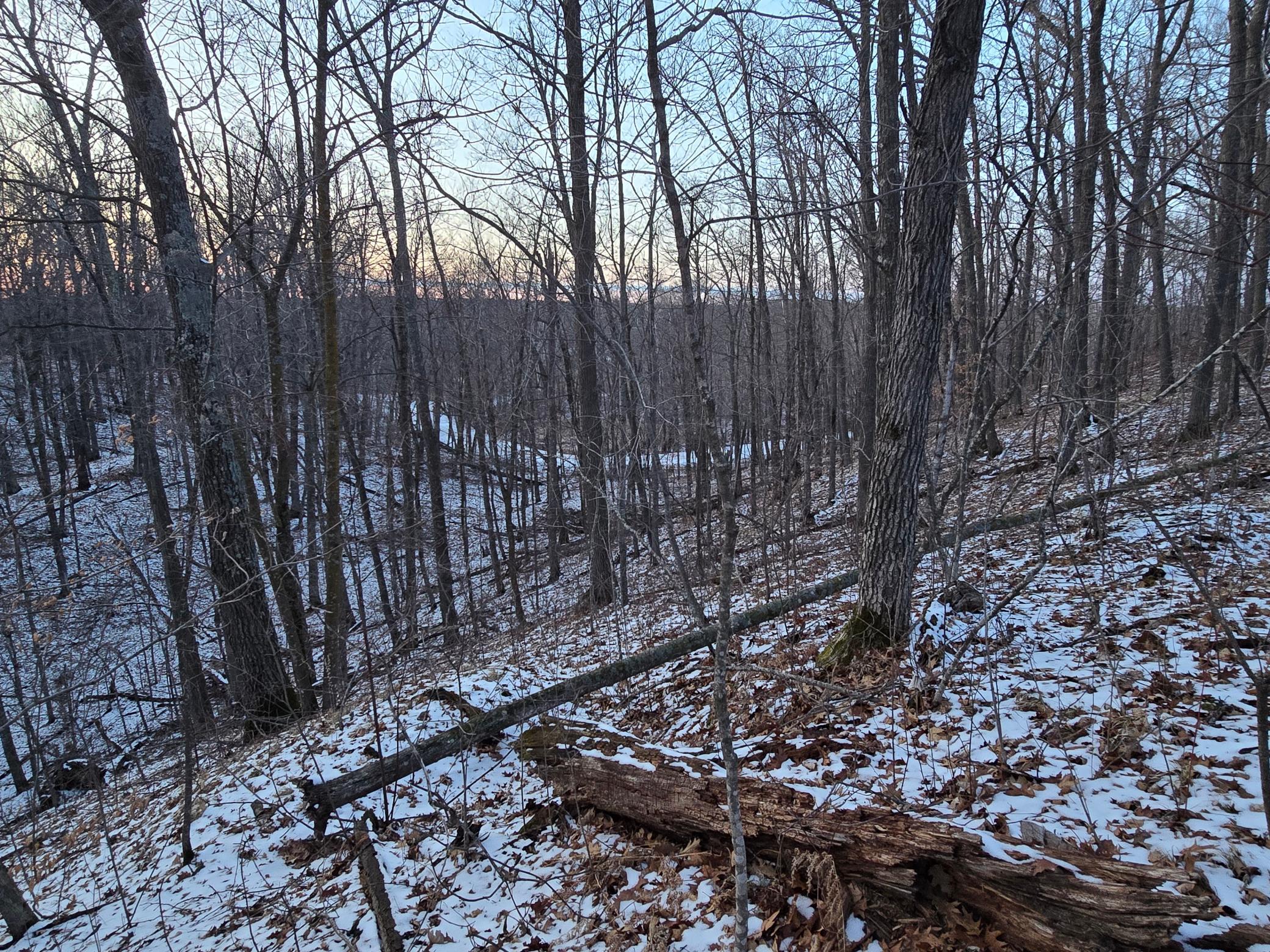 Sugarbush Circle