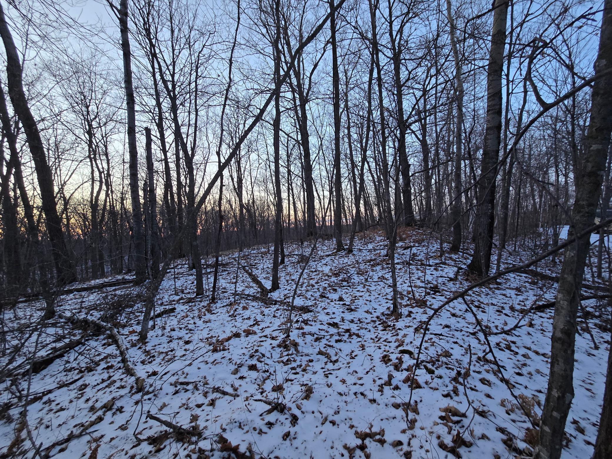 Sugarbush Circle