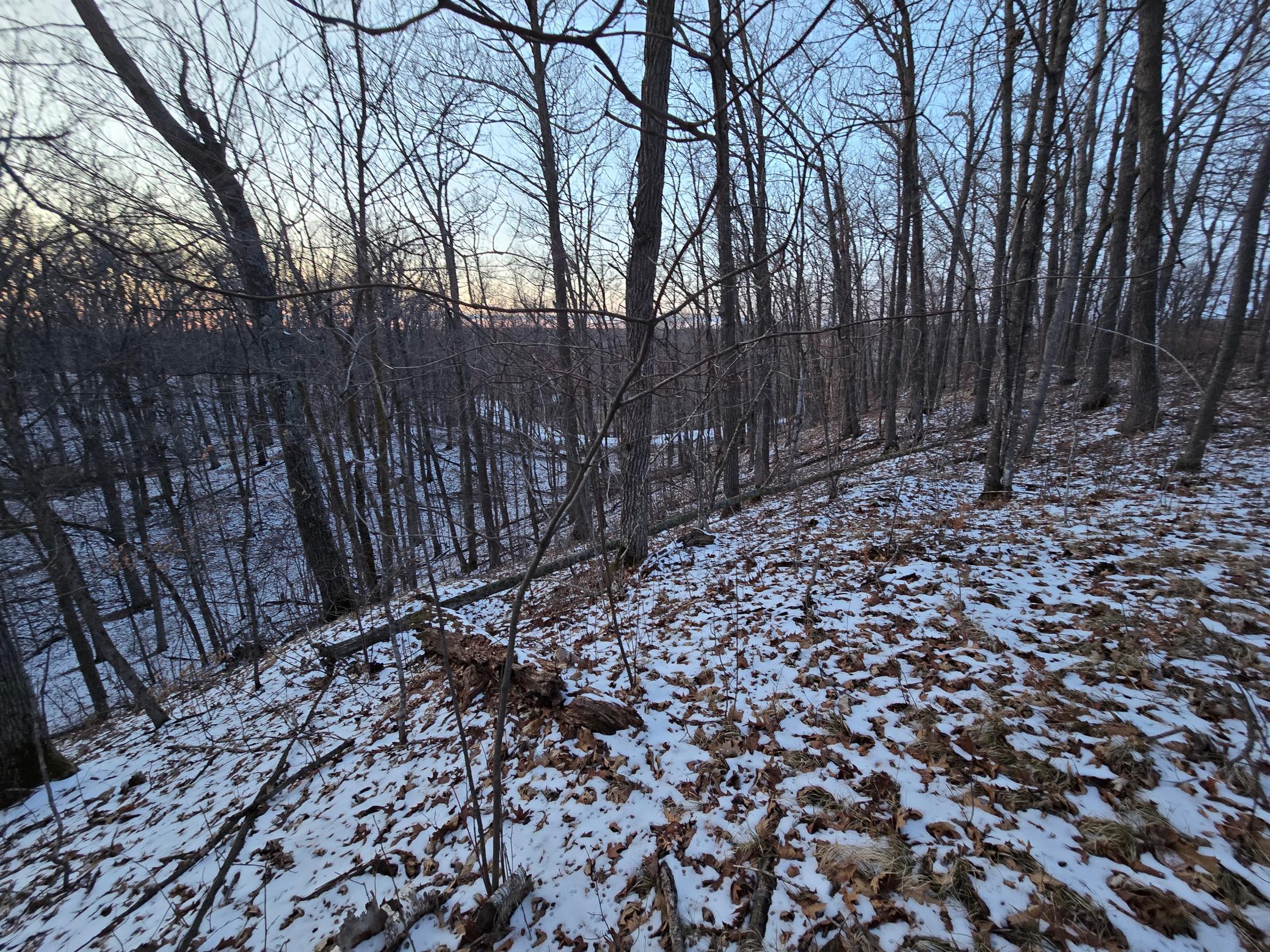 Sugarbush Circle