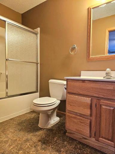 Lower Level Bathroom