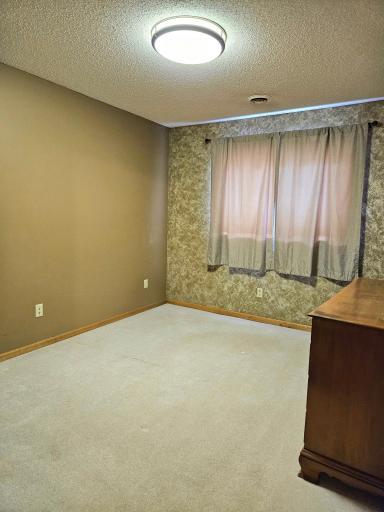 Lower Level Bedroom