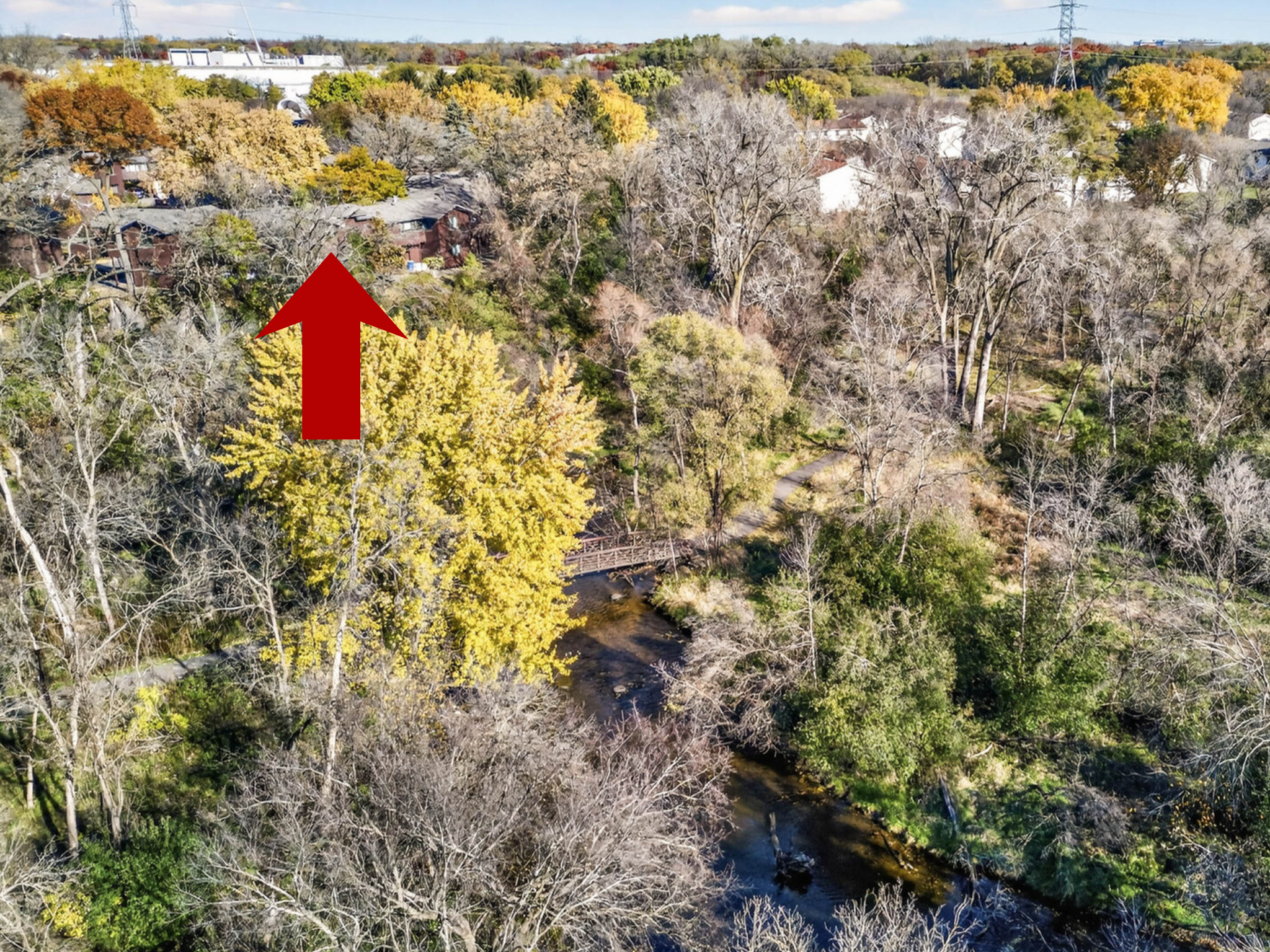 Enjoy walks on Rice Creek West Regional Trail
