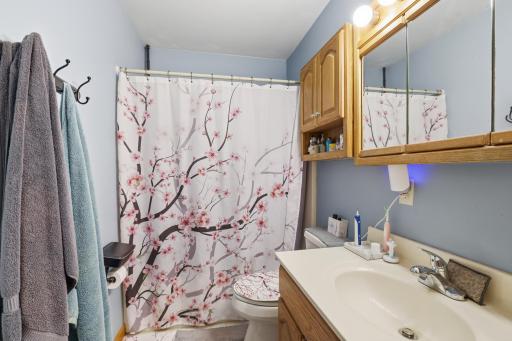 1056 Birch Avenue, Red Wing, MN 55066