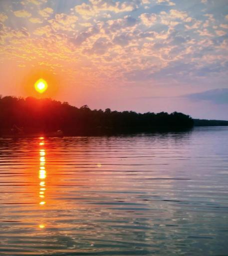 Photo for TBD 330th Avenue, Rochert, MN 56578 - listing #6811985 TBD 330th Avenue, Rochert, MN 56578