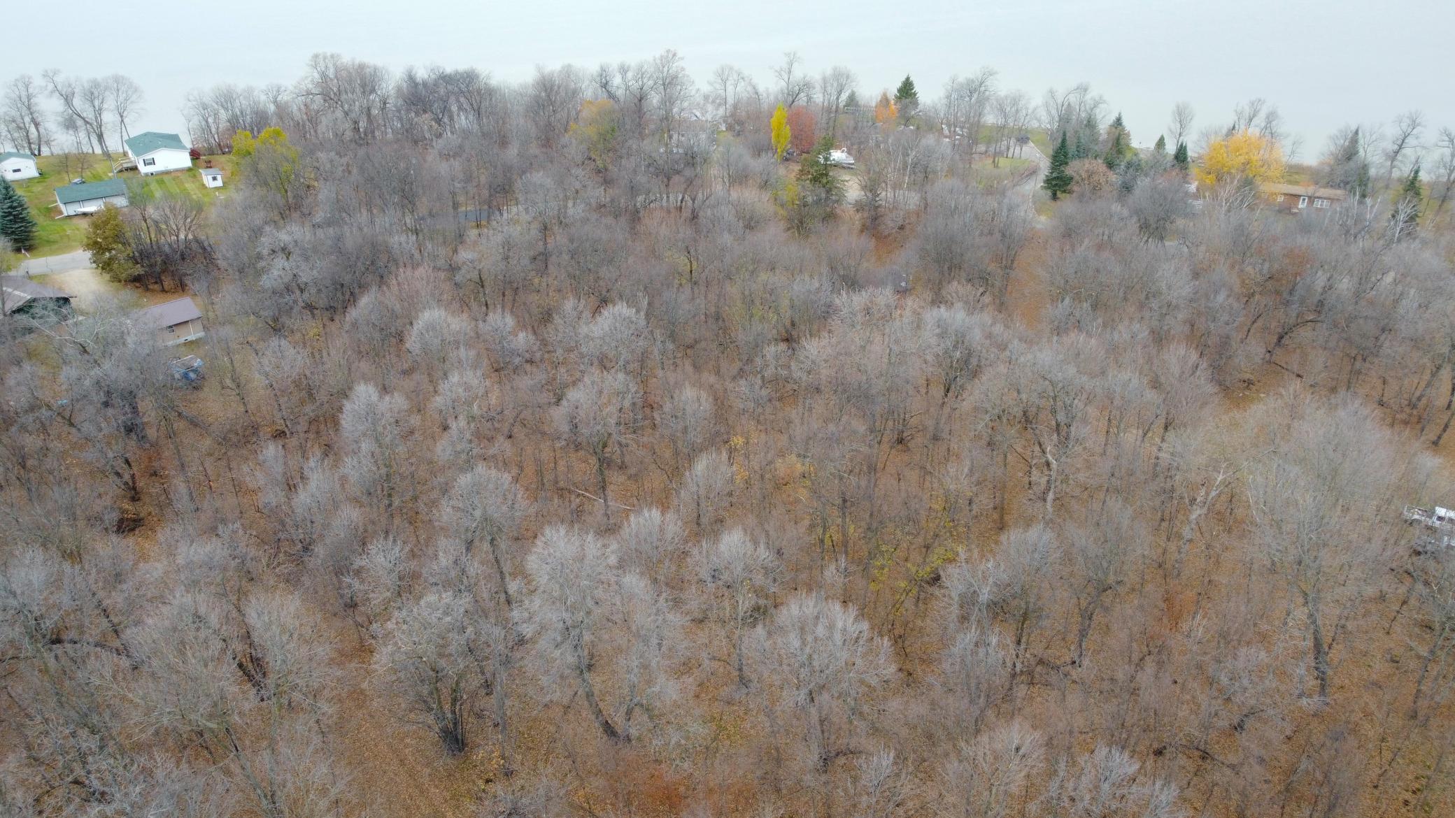 DJI_0969.JPG