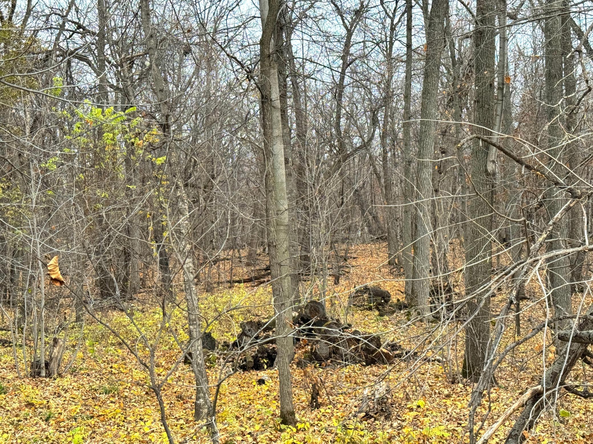 IMG_6269.JPG