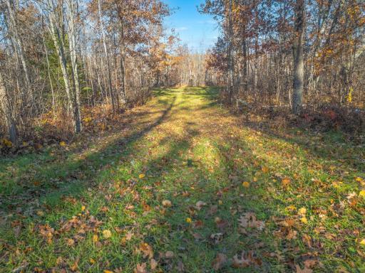 Photo for TBD Dry Landing Rd., Minong, WI 54859 - listing #6812223 TBD Dry Landing Rd., Minong, WI 54859