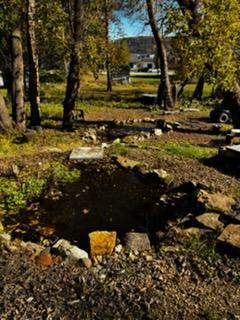 NE corner Spring Fed Pond