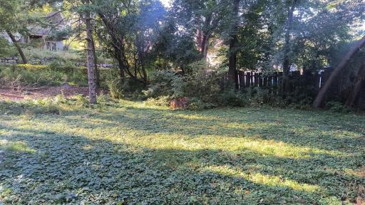 1779 Frank Street, Saint Paul, MN 55109