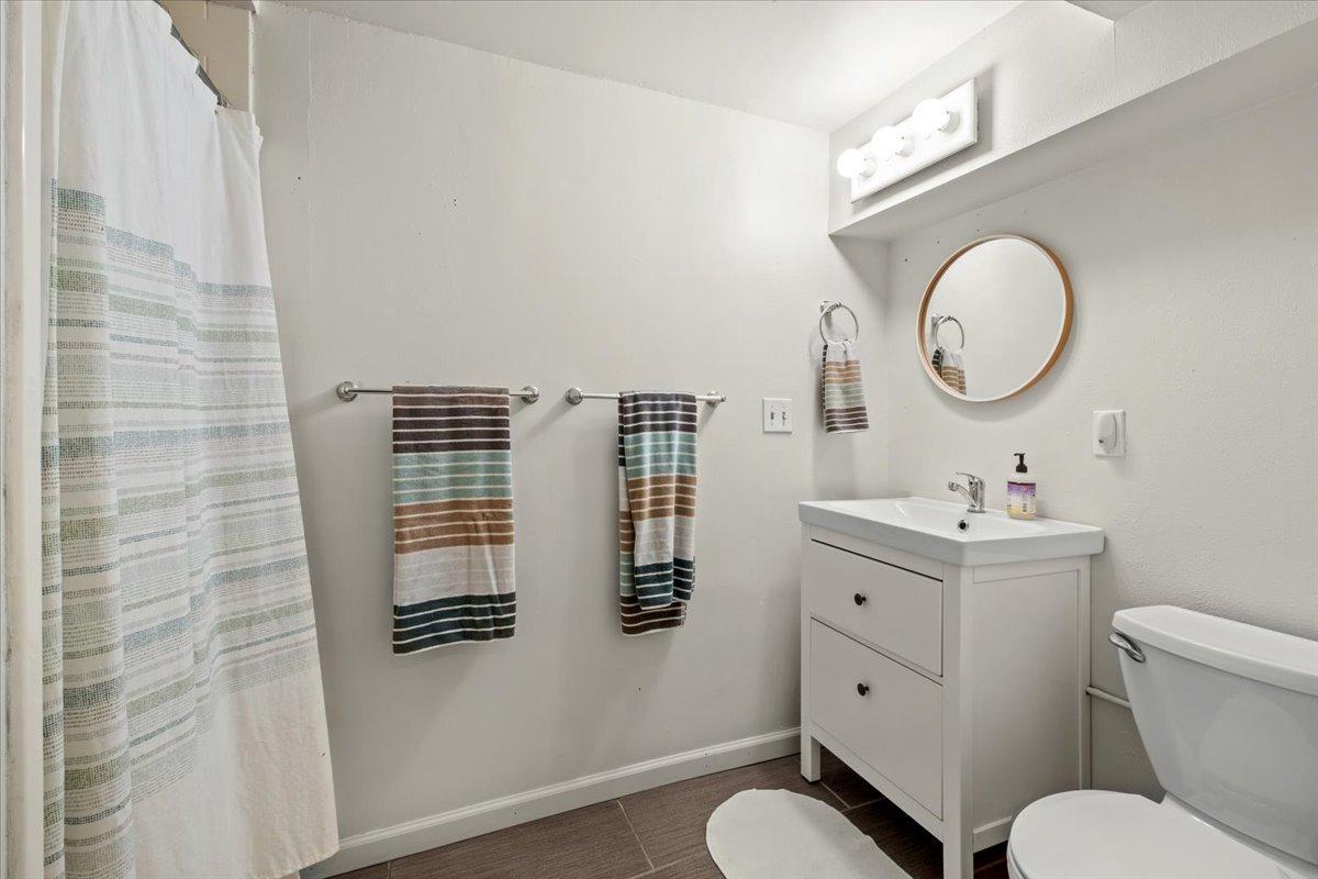 Lower Level Bathroom