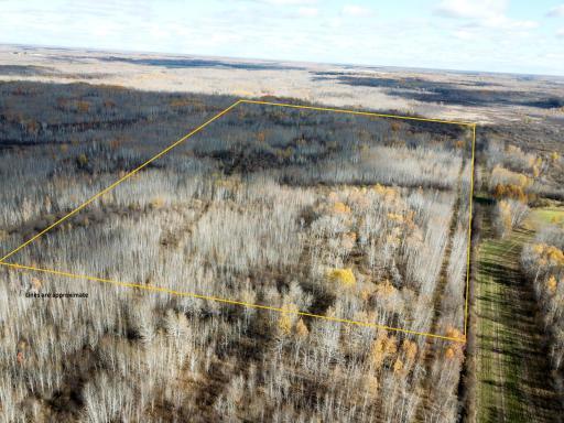 Photo for 58450 Korstad Road NW, Grygla, MN 56727 - listing #6812559 58450 Korstad Road NW, Grygla, MN 56727