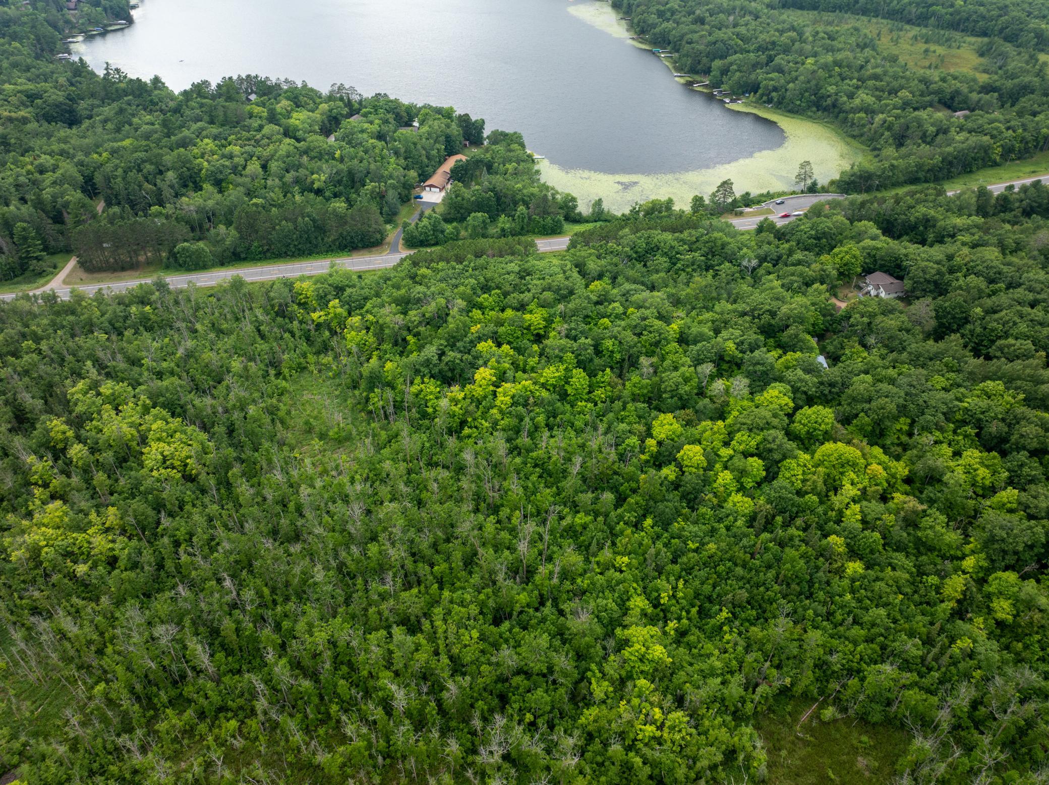 DJI_20260718093520_0287_D (1).jpg