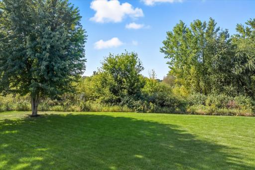 3967 Wild Meadows Drive, Hamel, MN 55340