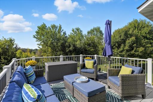 3967 Wild Meadows Drive, Hamel, MN 55340