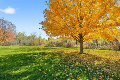 3967 Wild Meadows Drive, Hamel, MN 55340